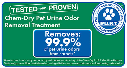Urine-Odor Removal Fort Wayne Carpet, Rugs, Upholstery chemd-dry of allen county